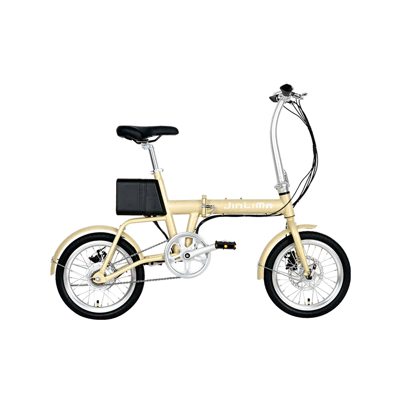 HYB-036 16 "Framelli di ferro doppio cerchi di alluminio E-Bike LED