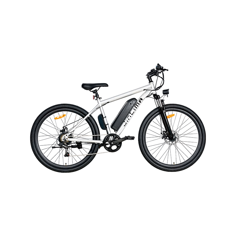 Bike MTB in lega di alluminio a batteria rimovibile HYB-031