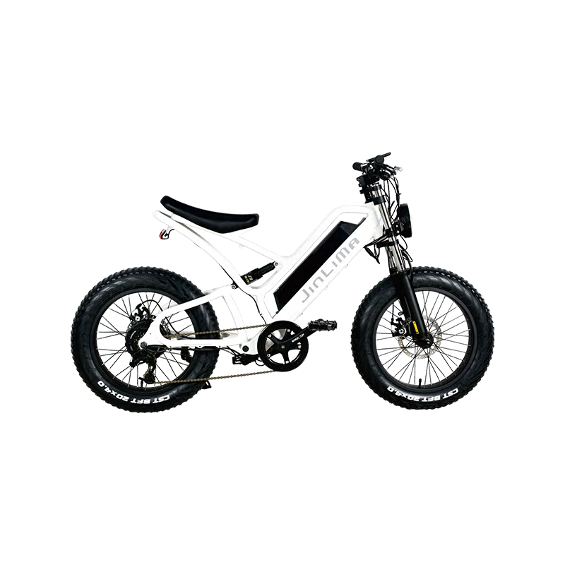 Quali sono i principali tipi di e-bike disponibili sul mercato?
