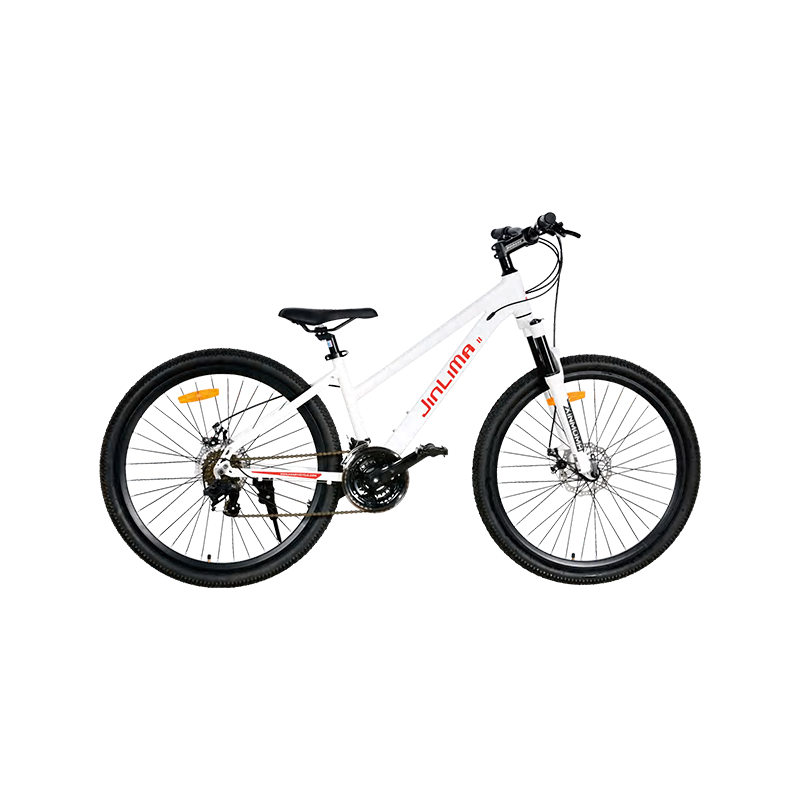La bici da 26 pollici: una scelta equilibrata per la guida versatile