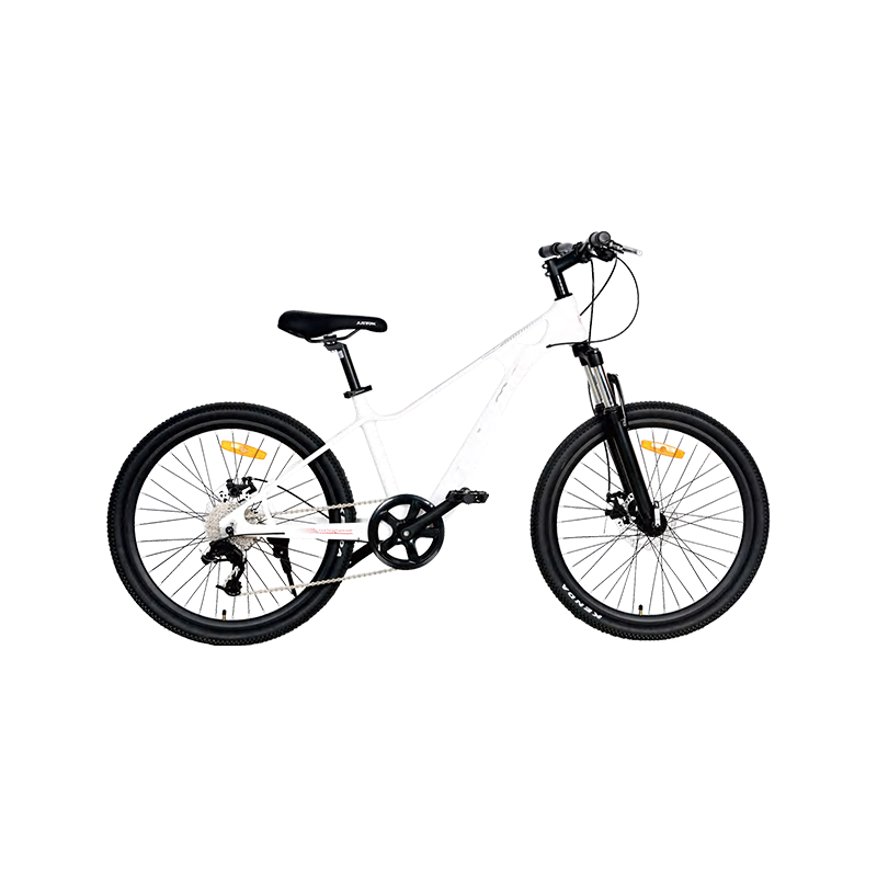 Quali sono le caratteristiche di sicurezza più importanti da considerare quando si acquista una mountain bike?