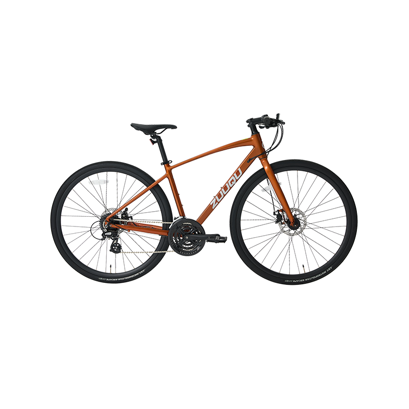 Bike stradali di coppia 700c di coppia
