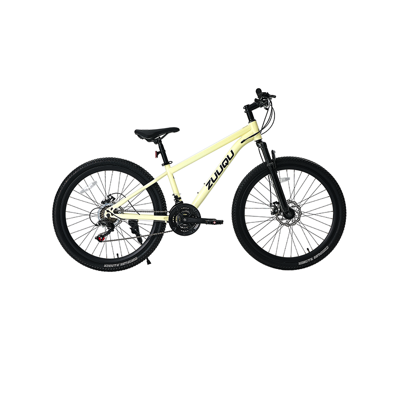 Frano a disco a 21 velocità 26 "MTB